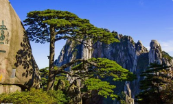 團建|魅力初秋，歡歌同行 -2019鑫創(chuàng)夏令營